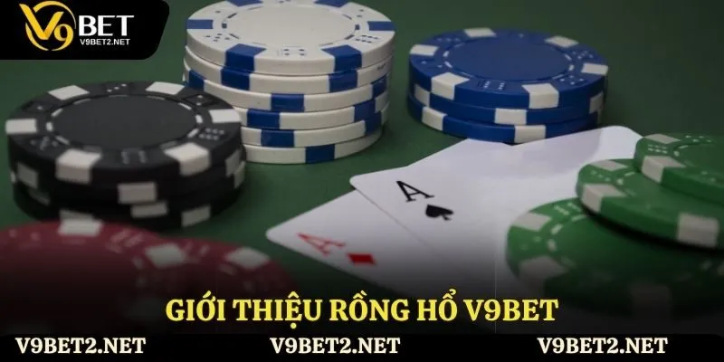 Giới thiệu rồng hổ V9bet