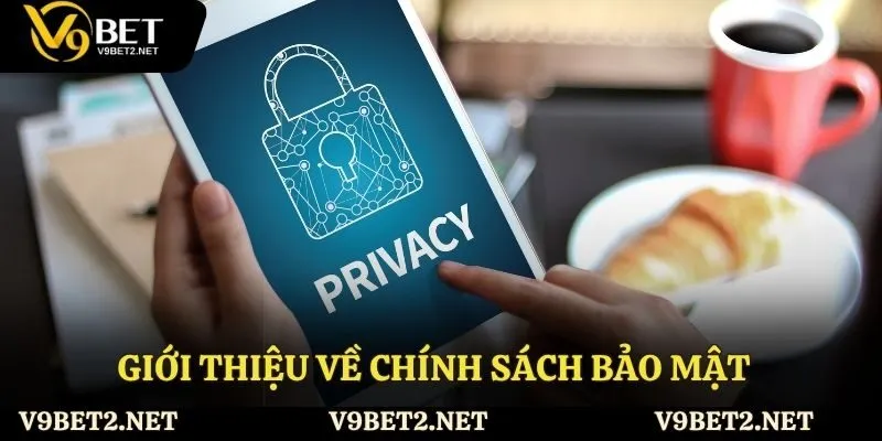 Tìm hiểu về chính sách bảo mật tại V9Bet