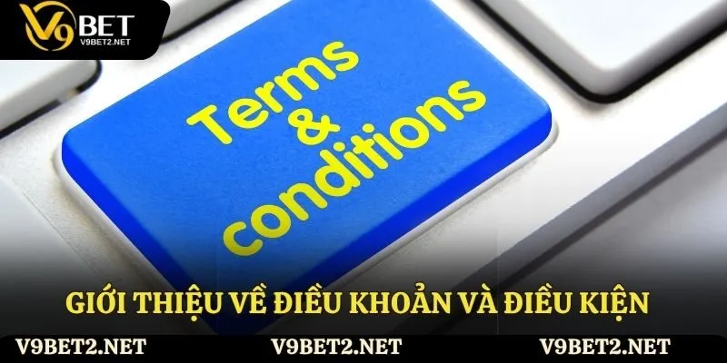 Giới thiệu tổng quan về điều khoản và điều kiện