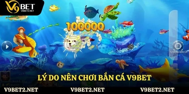 Lý do nên chơi bắn cá V9bet