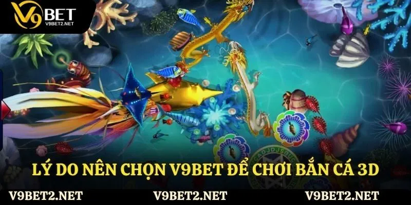 Lý do nên chọn V9Bet để chơi bắn cá 3D