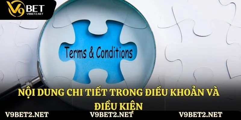 Nội dung của điều khoản và điều kiện