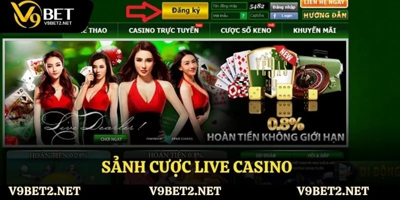 Sảnh cược live casino