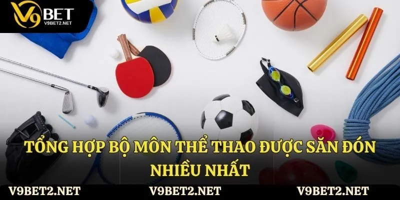 Tổng hợp bộ môn thể thao được săn đón nhiều nhất