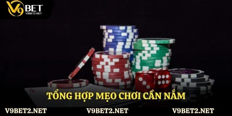 Tổng hợp mẹo chơi cần nắm